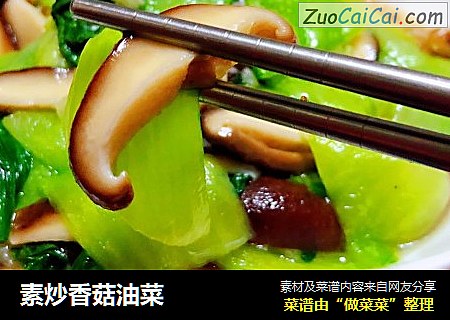 素炒香菇油菜封面圖