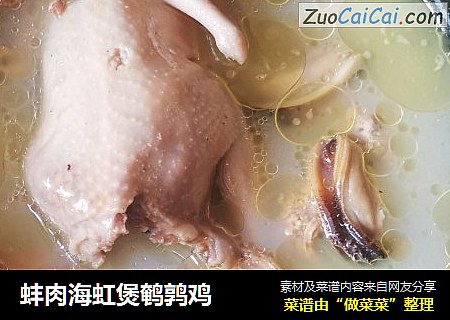 蚌肉海虹煲鹌鹑雞封面圖