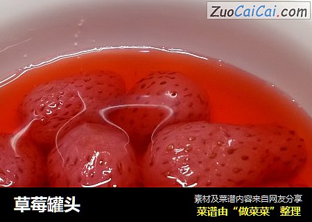 草莓罐頭封面圖