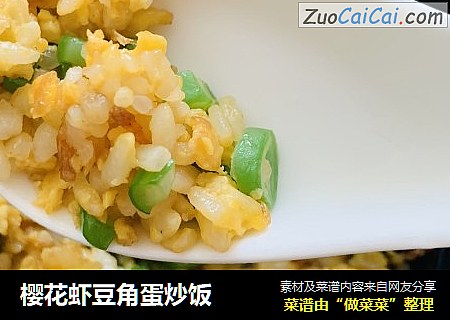 櫻花蝦豆角蛋炒飯封面圖