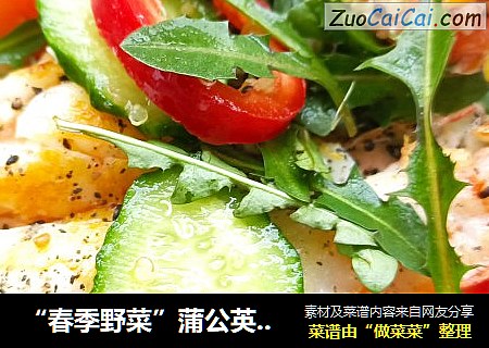 “春季野菜”蒲公英藜麥鮮蝦沙拉封面圖