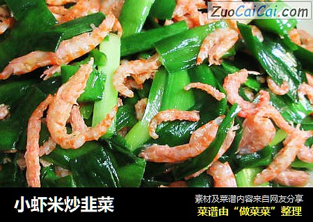 小蝦米炒韭菜封面圖