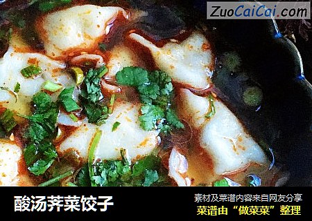 酸汤荠菜饺子