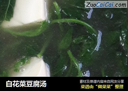 白花菜豆腐湯封面圖