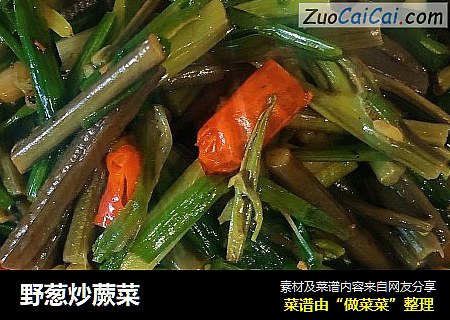 野蔥炒蕨菜封面圖