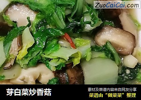 芽白菜炒香菇封面圖
