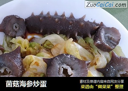 菌菇海参炒蛋