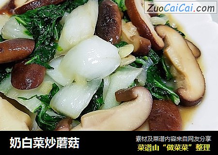 奶白菜炒蘑菇
