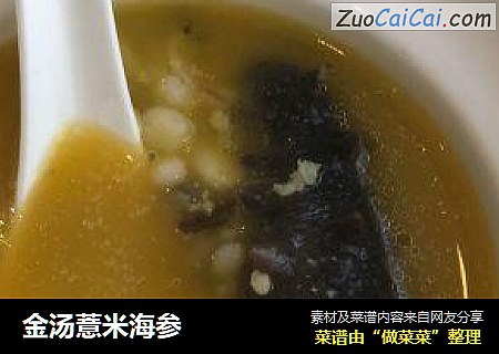 金汤薏米海参