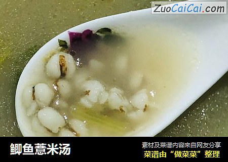 鲫魚薏米湯封面圖
