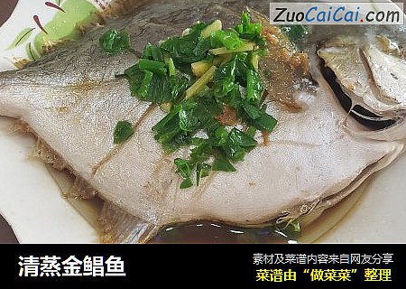 清蒸金鲳魚封面圖