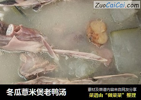 冬瓜薏米煲老鴨湯封面圖