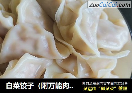 白菜饺子（附万能肉馅的做法）
