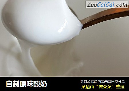 自製原味酸奶封面圖