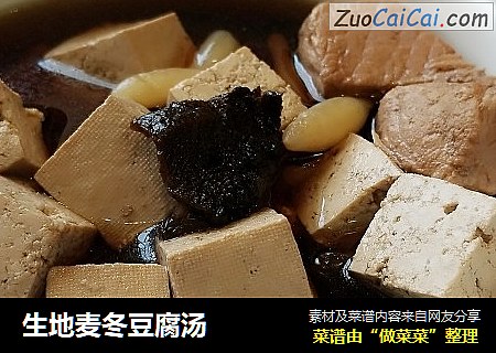 生地麦冬豆腐汤