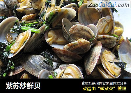 紫蘇炒鮮貝封面圖