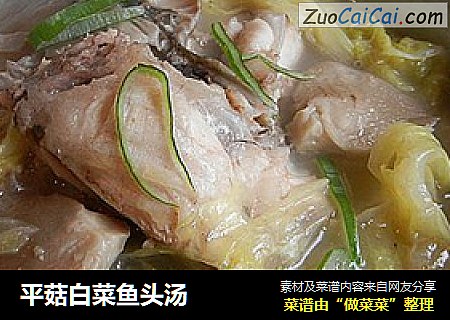 平菇白菜鱼头汤