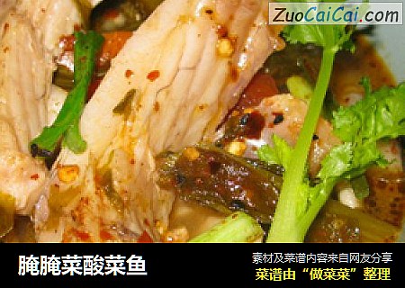 腌腌菜酸菜魚封面圖