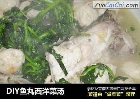 DIY鱼丸西洋菜汤