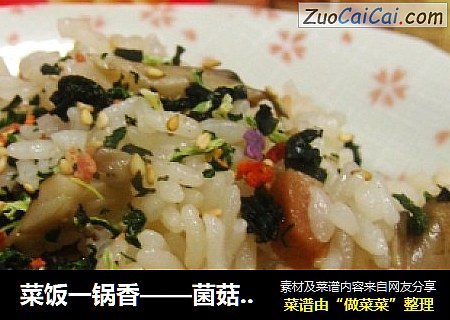 菜饭一锅香——菌菇魔芋菜饭