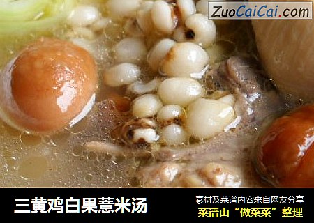 三黃雞白果薏米湯封面圖