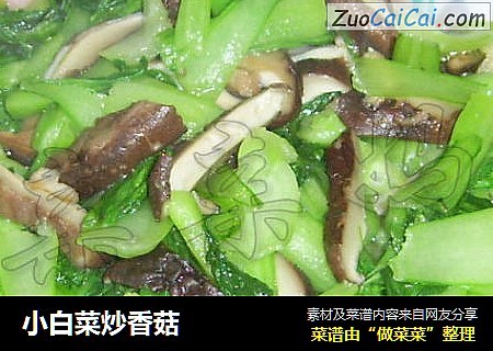 小白菜炒香菇封面圖
