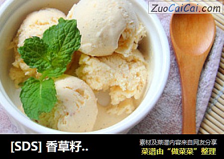 [SDS] 香草籽冰淇淋 Homemade Vanilla Ice Cream封面圖