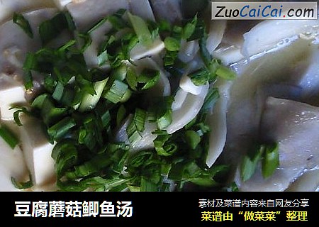 豆腐蘑菇鲫鱼汤