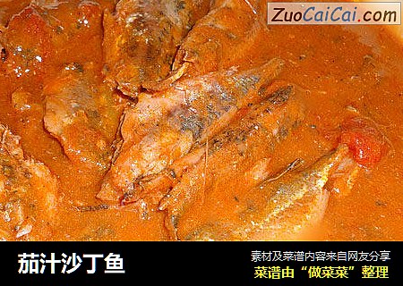 茄汁沙丁魚封面圖