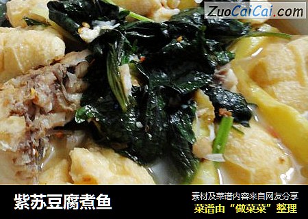 紫蘇豆腐煮魚封面圖