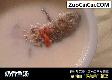 奶香魚湯封面圖