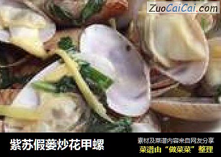 紫苏假蒌炒花甲螺