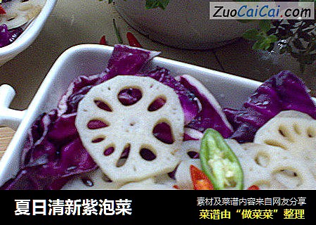 夏日清新紫泡菜