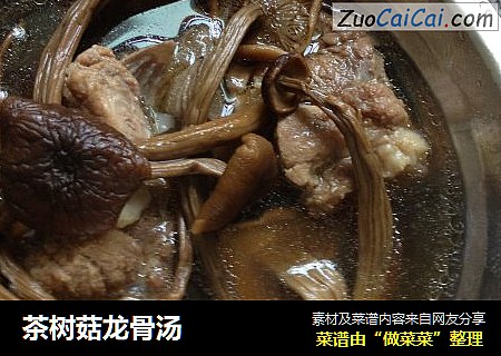 茶樹菇龍骨湯封面圖