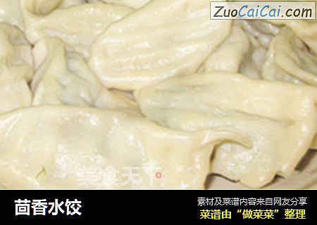 茴香水饺