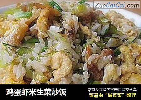 雞蛋蝦米生菜炒飯封面圖