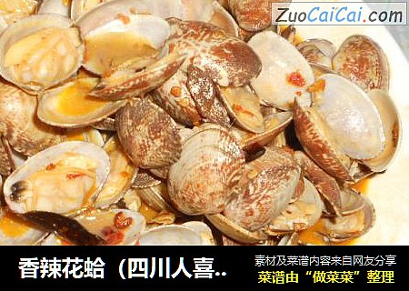 香辣花蛤（四川人喜歡的味道）封面圖