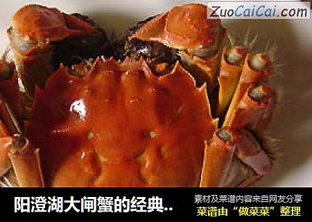 阳澄湖大闸蟹的经典吃法－清蒸