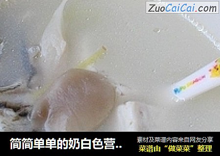 簡簡單單的奶白色營養湯——鲫魚蘑菇湯封面圖