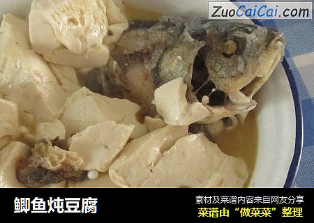 鲫魚炖豆腐封面圖