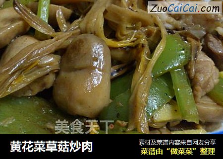黃花菜草菇炒肉封面圖