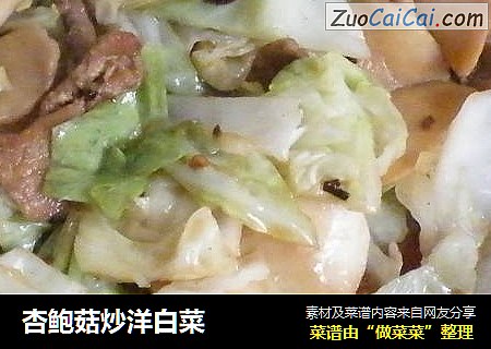 杏鲍菇炒洋白菜
