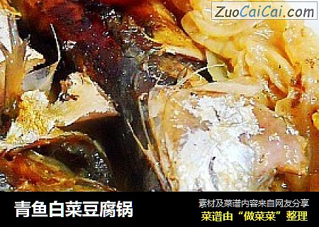 青鱼白菜豆腐锅