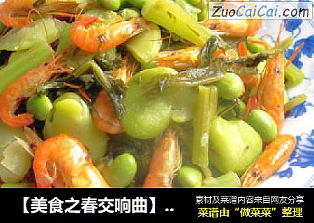 【美食之春交響曲】——綠意獻鮮《鹹菜毛豆豆瓣酥》封面圖