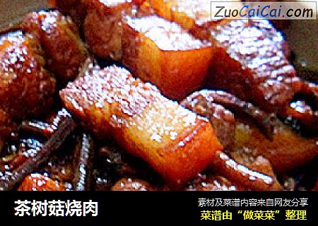茶樹菇燒肉封面圖