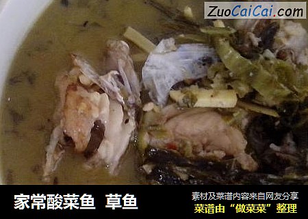 家常酸菜魚  草魚封面圖