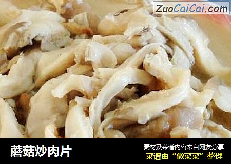 蘑菇炒肉片封面圖