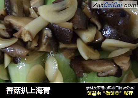 香菇扒上海青封面圖