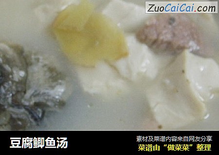 豆腐鲫魚湯封面圖