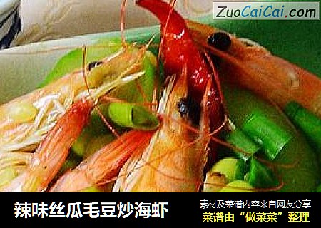辣味丝瓜毛豆炒海虾